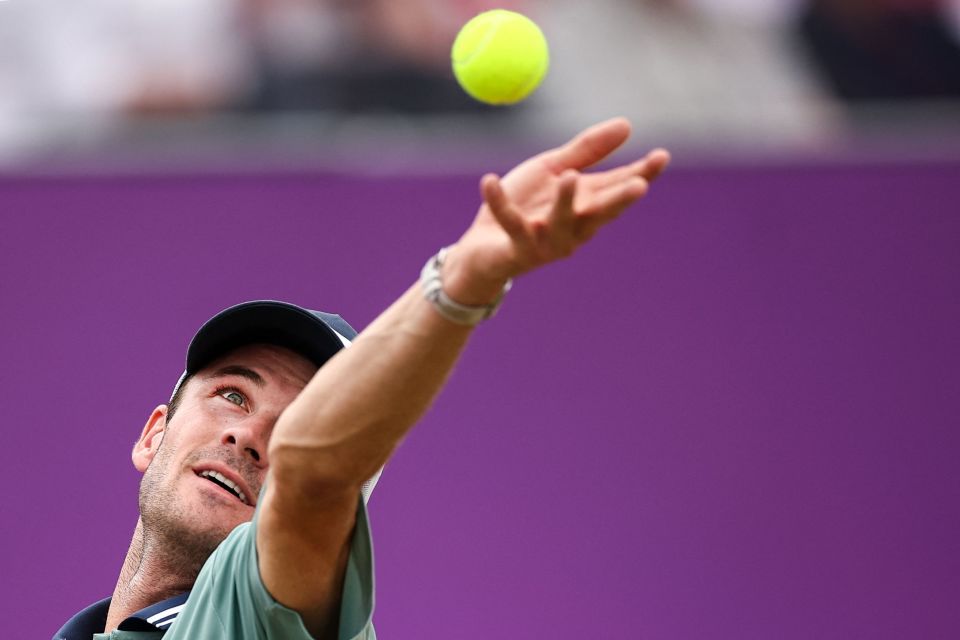 未来之星 未来之星