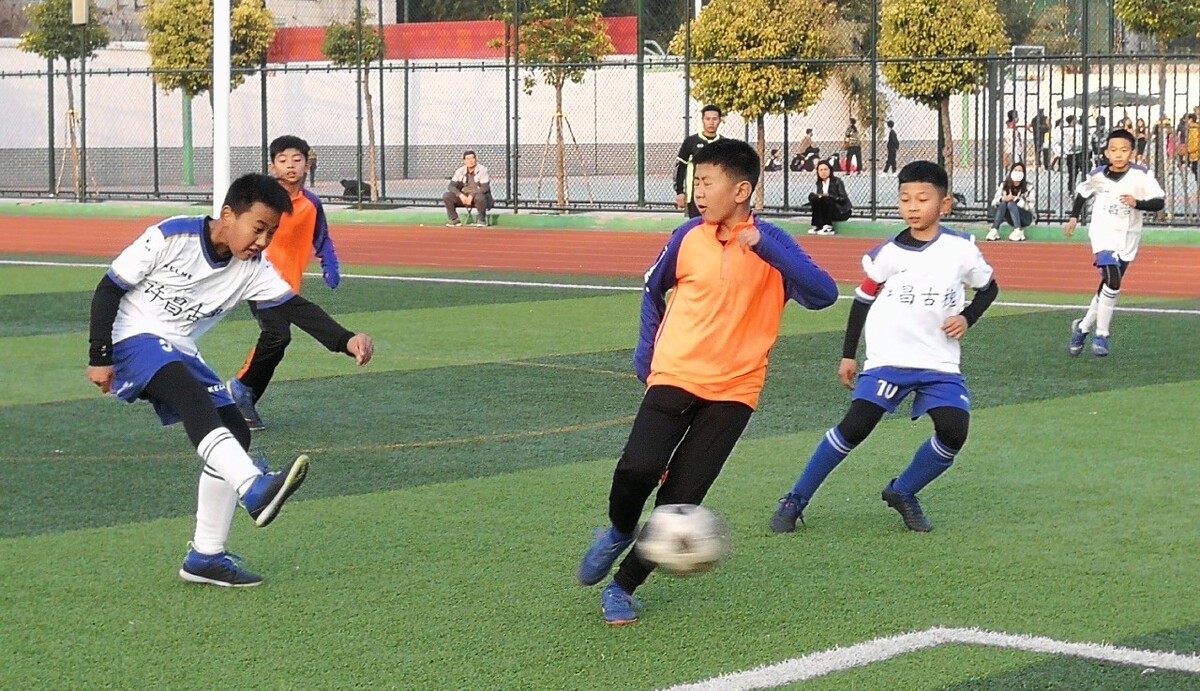 投射和冷静 投射和冷静